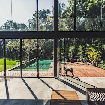 E-Comm: Airbnb Spring Break stays and experiences